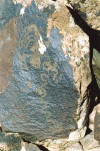 snakes rock-art