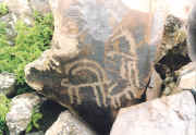 animal rock-art