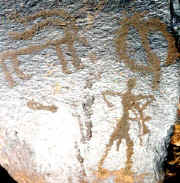 Human with animals