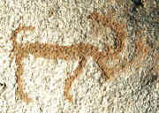 animal rock-art
